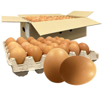 Eier 1/2 180stk.(M)