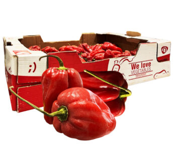 Habanero Chili, 2kg