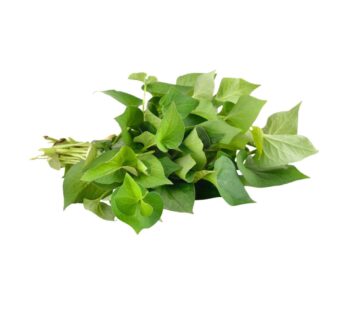 Fischminze / Rau Diếp Cá