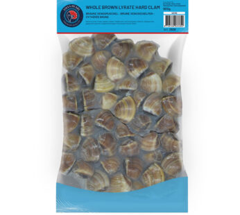 Venusmuschel braun gekocht 40/60