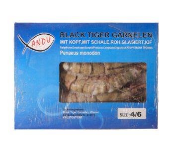 Gambas BT 4/6 mit Kopf mit Schale